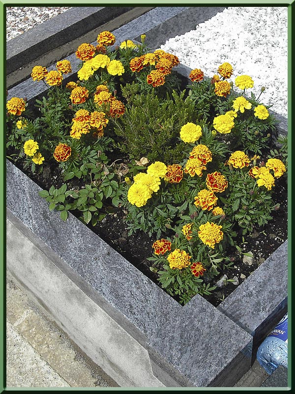 Fingal Memorials Ireland